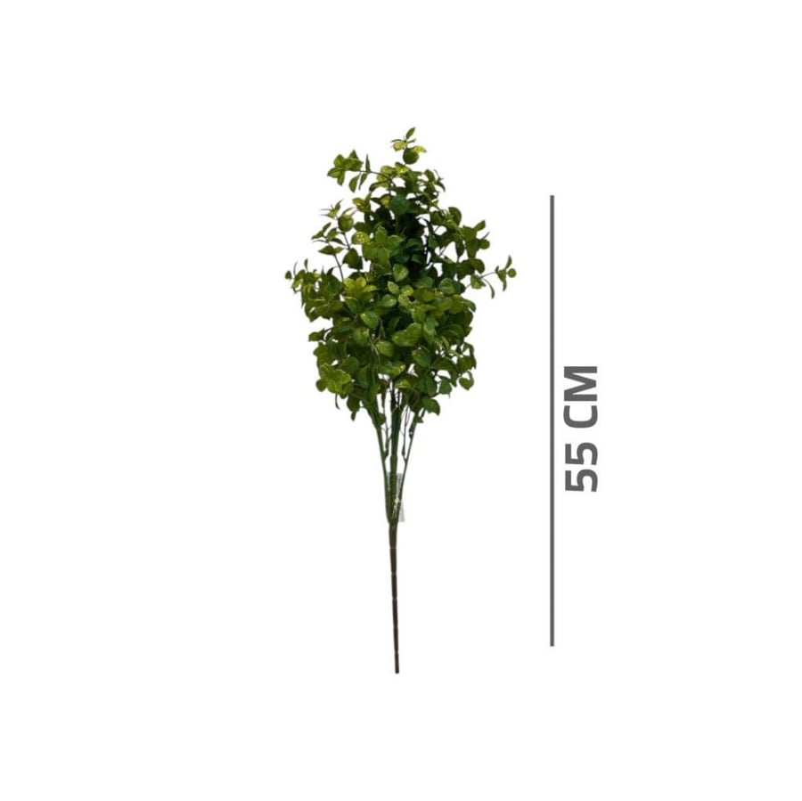 Green shrubbery, creeping thyme