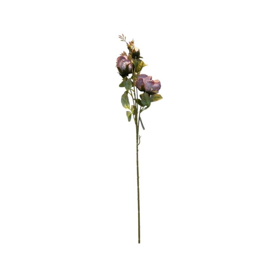 غصن ورد