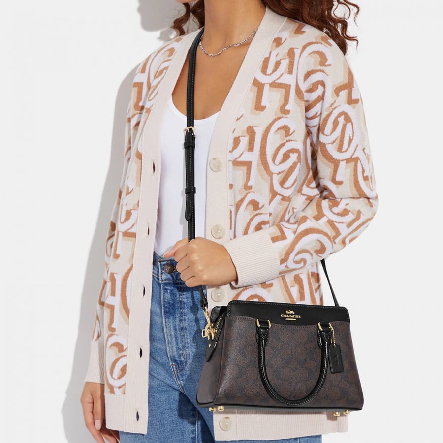 Mini Darcie Carryall In Signature Canvas