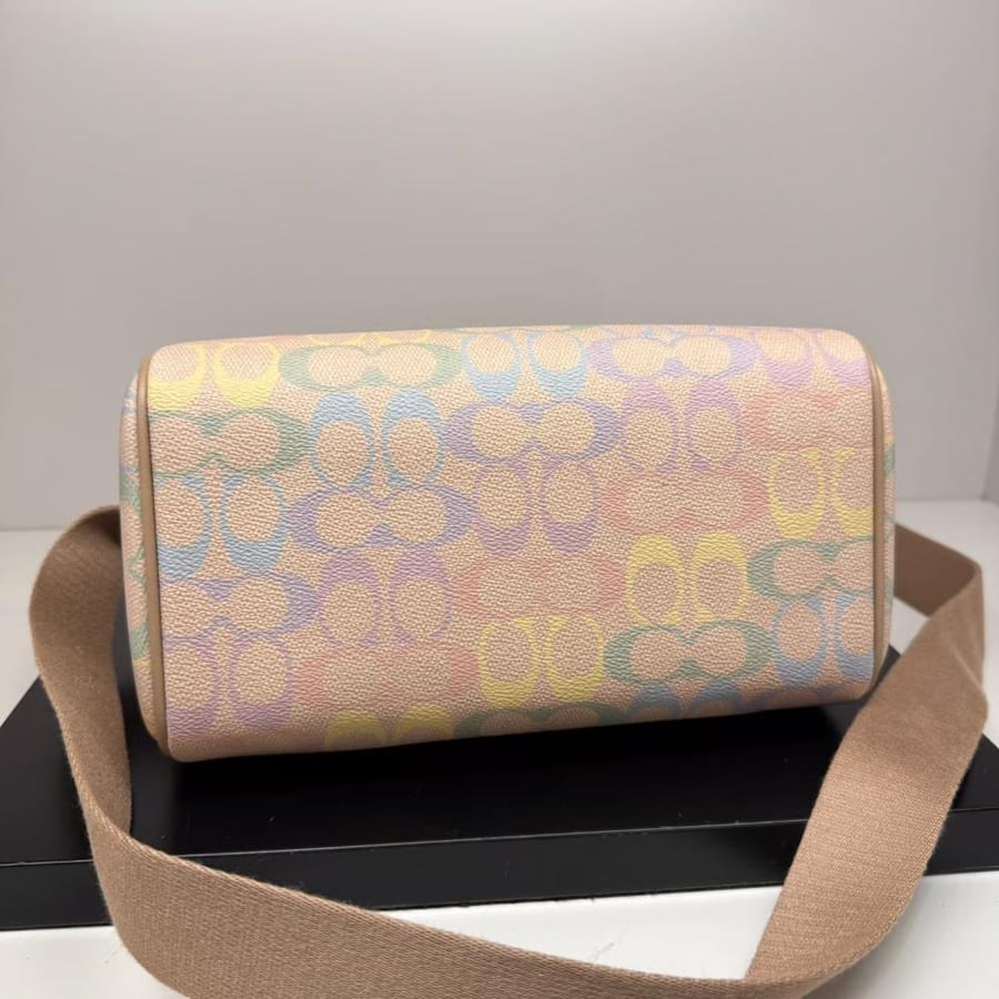 Rowan Satchel Bag In Rainbow Signature Canvas
