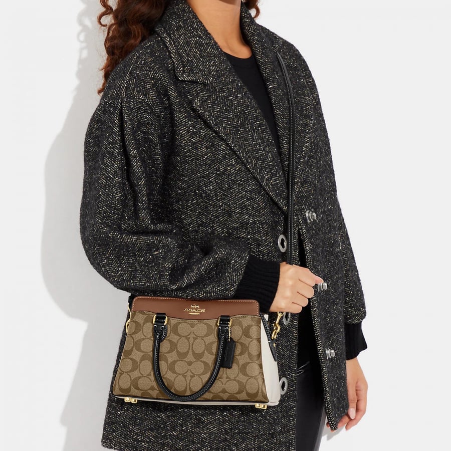 Mini Darcie Carryall In Colorblock Signature Canvas