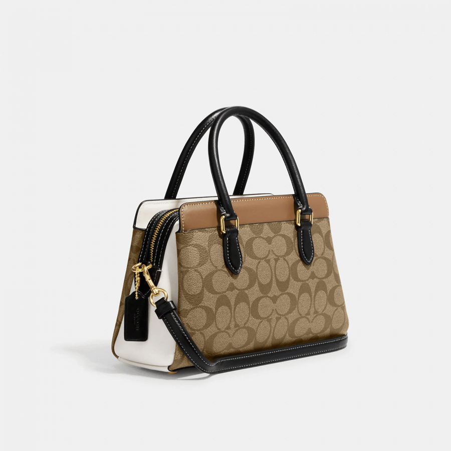 Mini Darcie Carryall In Colorblock Signature Canvas