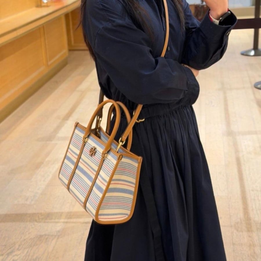 Blake Stripe Canvas Small Tote