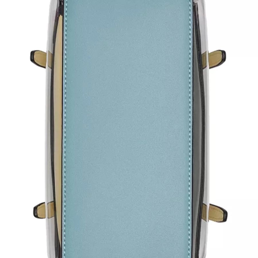 Modern Essentials Clear Crossbody with Web Strap