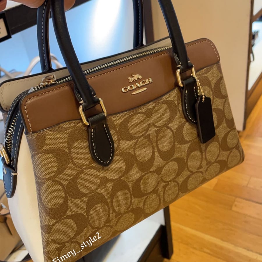 Mini Darcie Carryall In Colorblock Signature Canvas
