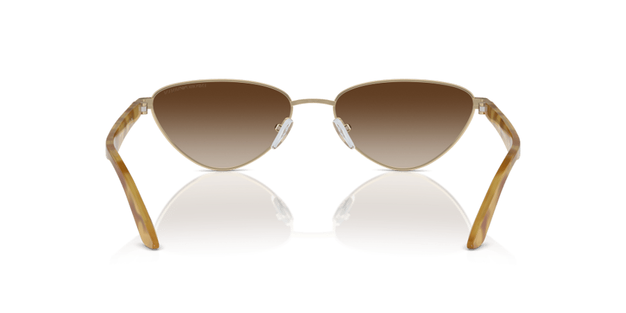 Emporio Armani women's sunglasses model 0EA2153 30131356