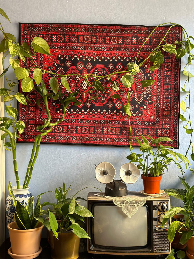 سجاد | Rug