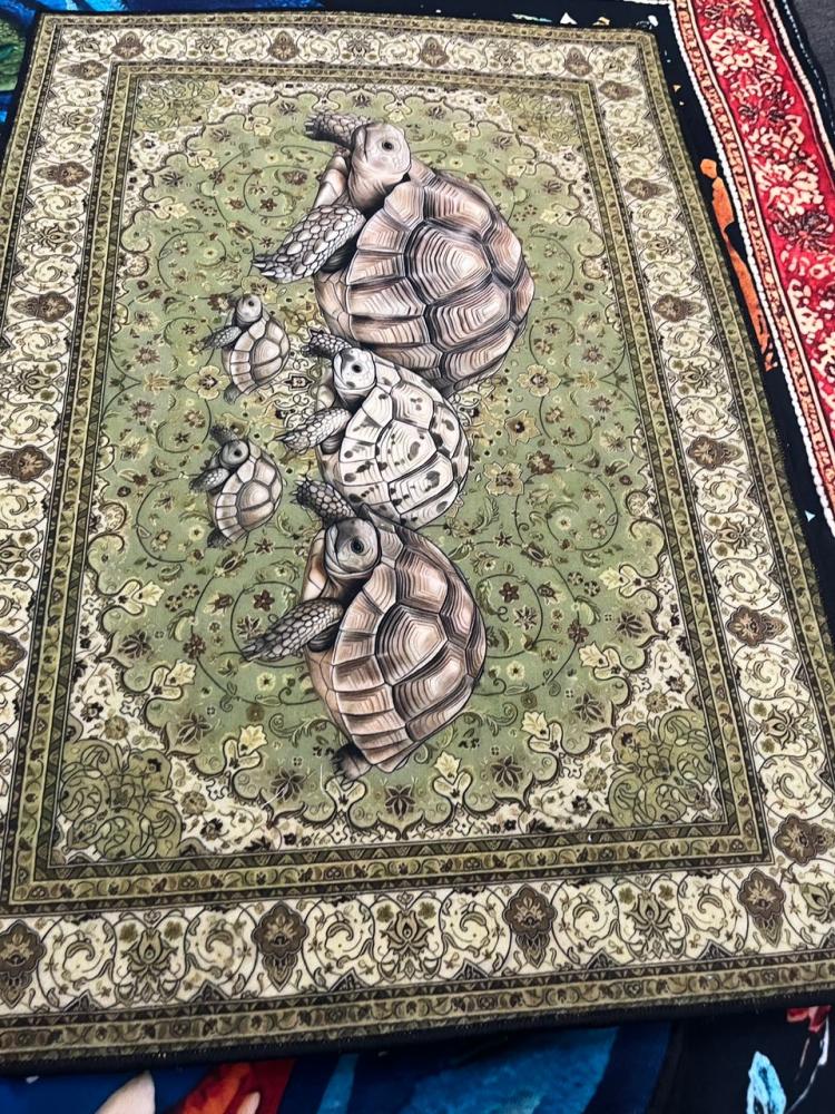 سجاد | Rug