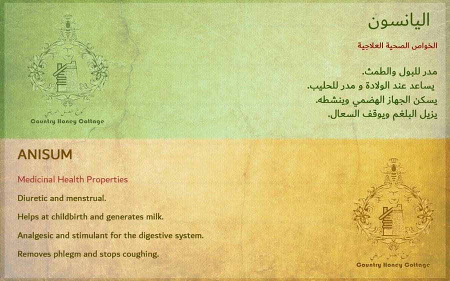 عسل اليانسون