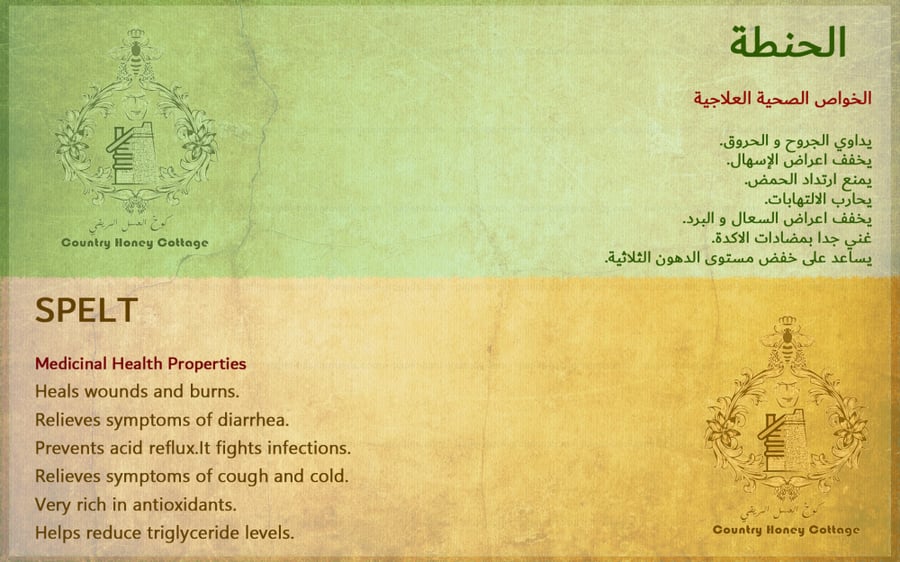 عسل الحنطة