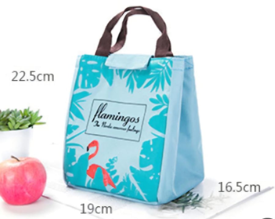 هذا المنتج عبارة عن حقيبة غداء Lunch Bag قماشية بلون أخضر فاتح وأزرق