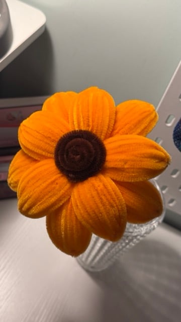 دوار الشمس 🌻