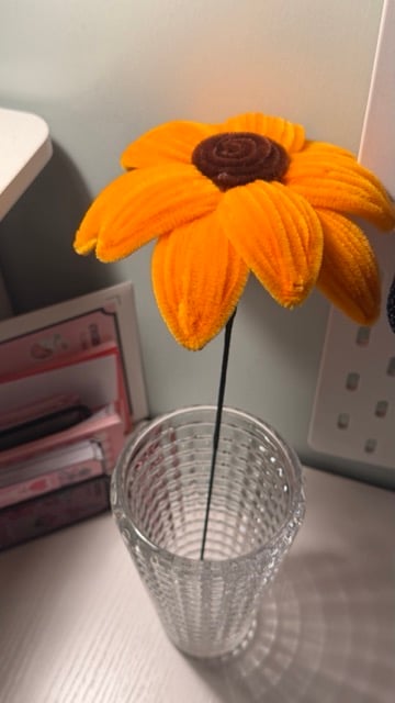 دوار الشمس 🌻