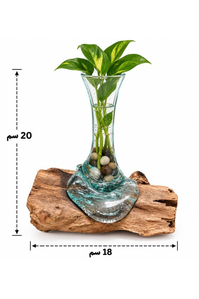صورة المنتج
