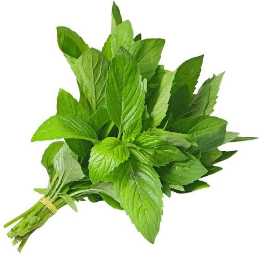 نعناع بلدي