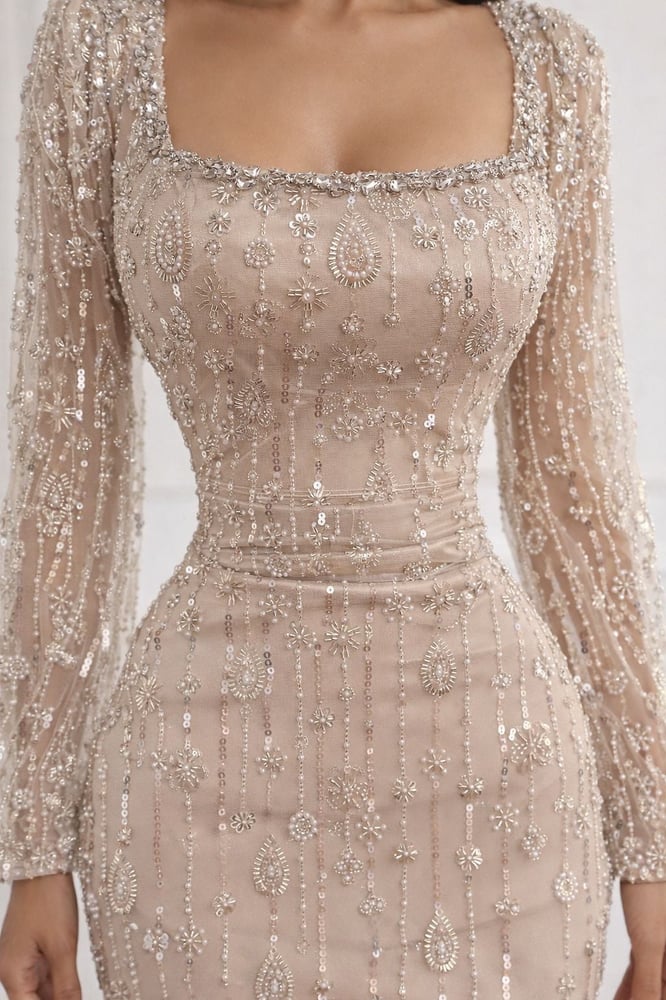 The embroidered tulle dress