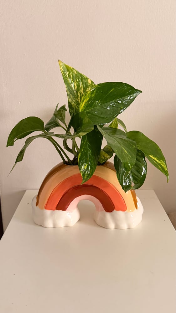 Rainbow plant