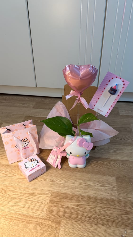 Hello Kitty Gift Set: Bracelet & Plant