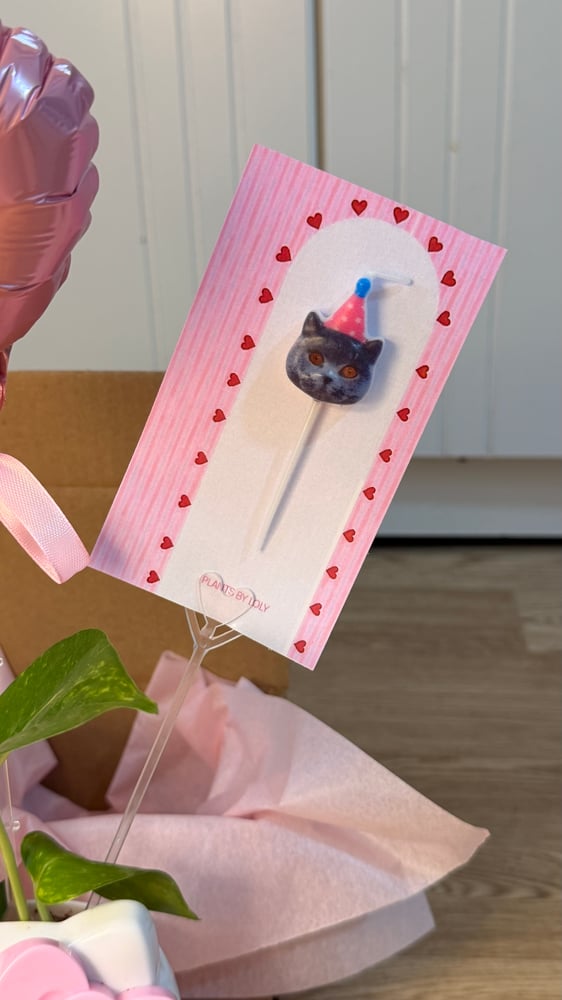 Hello Kitty Gift Set: Necklace & Plant