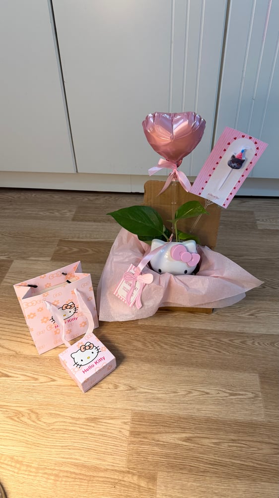 Hello Kitty Gift Set: Bracelet & Plant