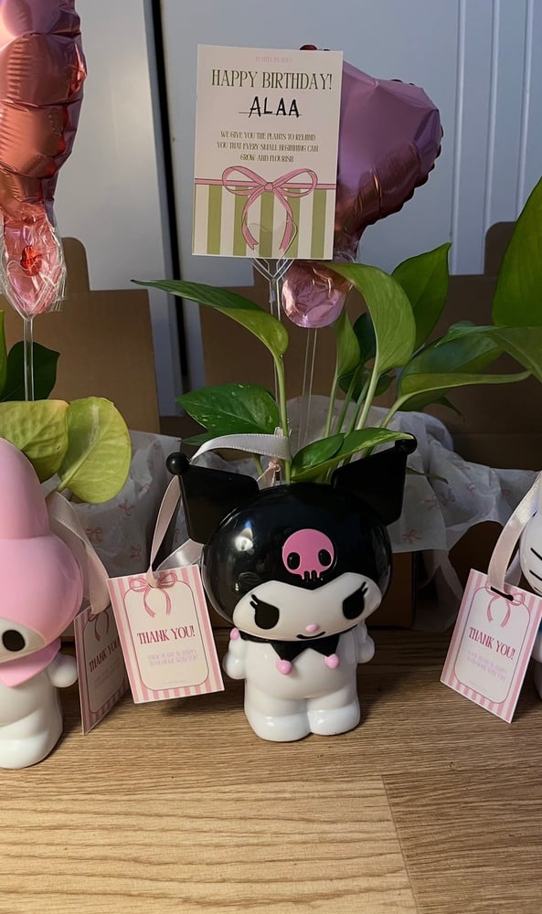 Small kuromi Vase with Bots Plant