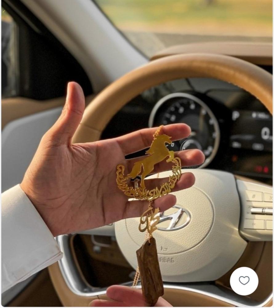 Car suspension by name with broken stick