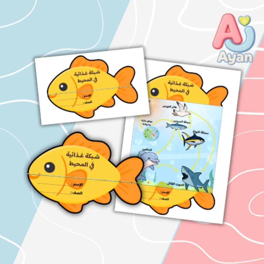 شبكة غذائية في المحيط