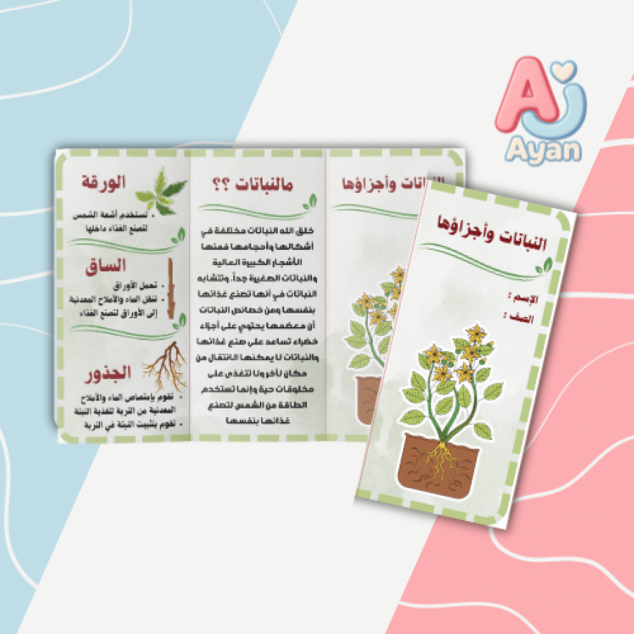 النباتات وأجزاؤها