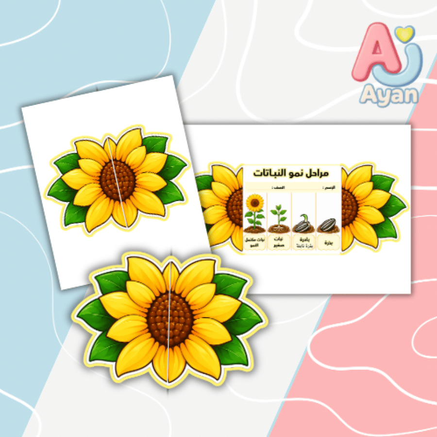 مراحل نمو النباتات