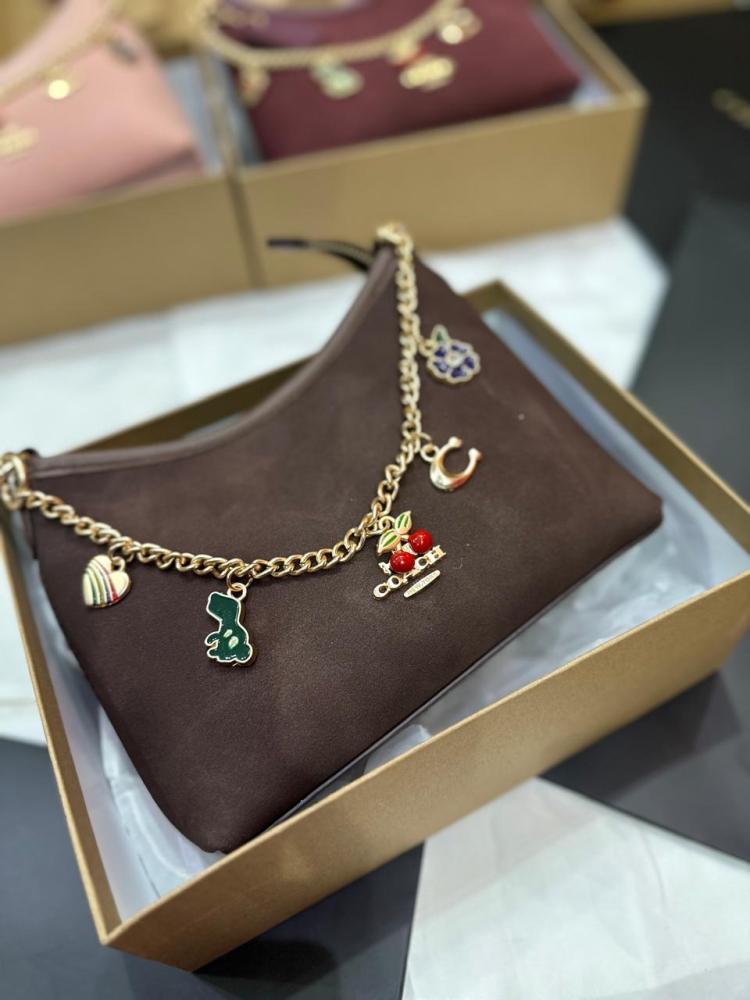 Jewel store coach bag