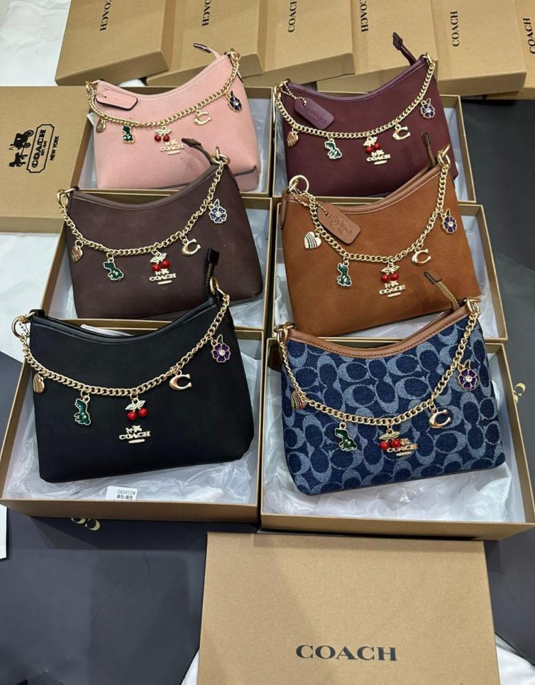 Jewel store coach bag