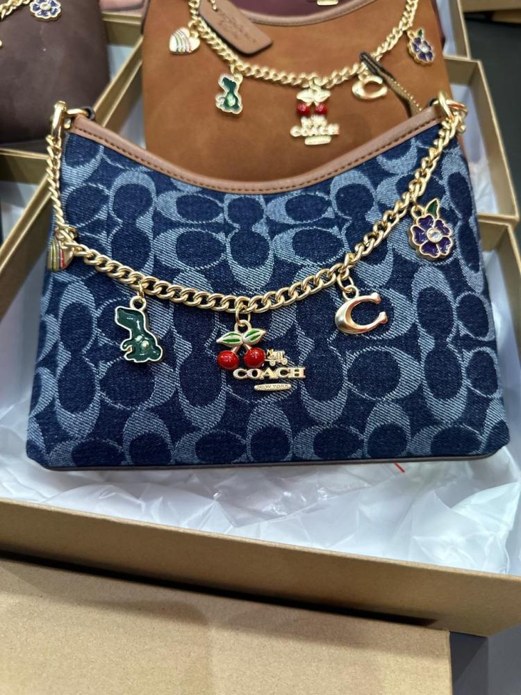 Jewel store coach bag