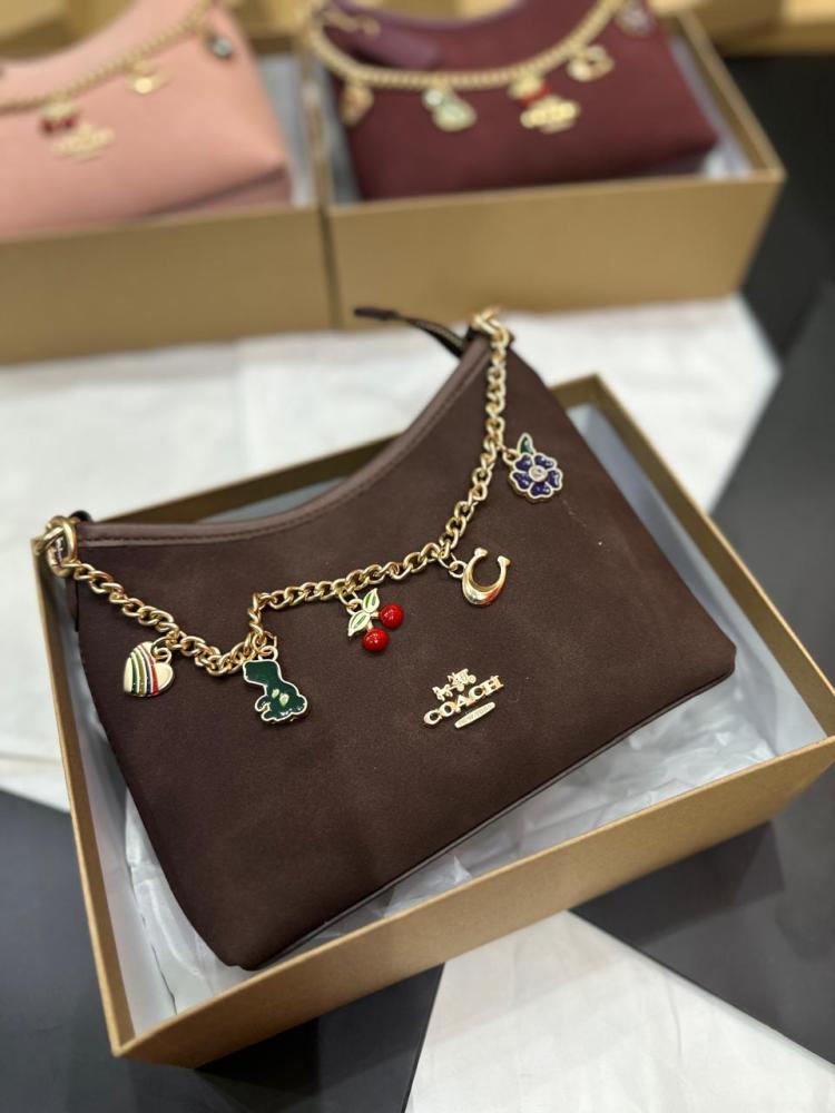 Jewel store coach bag
