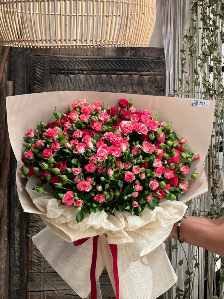 ريد باشن