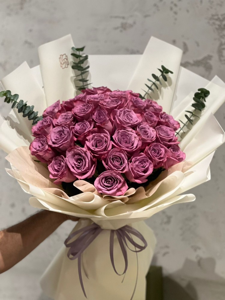 جمال الموف