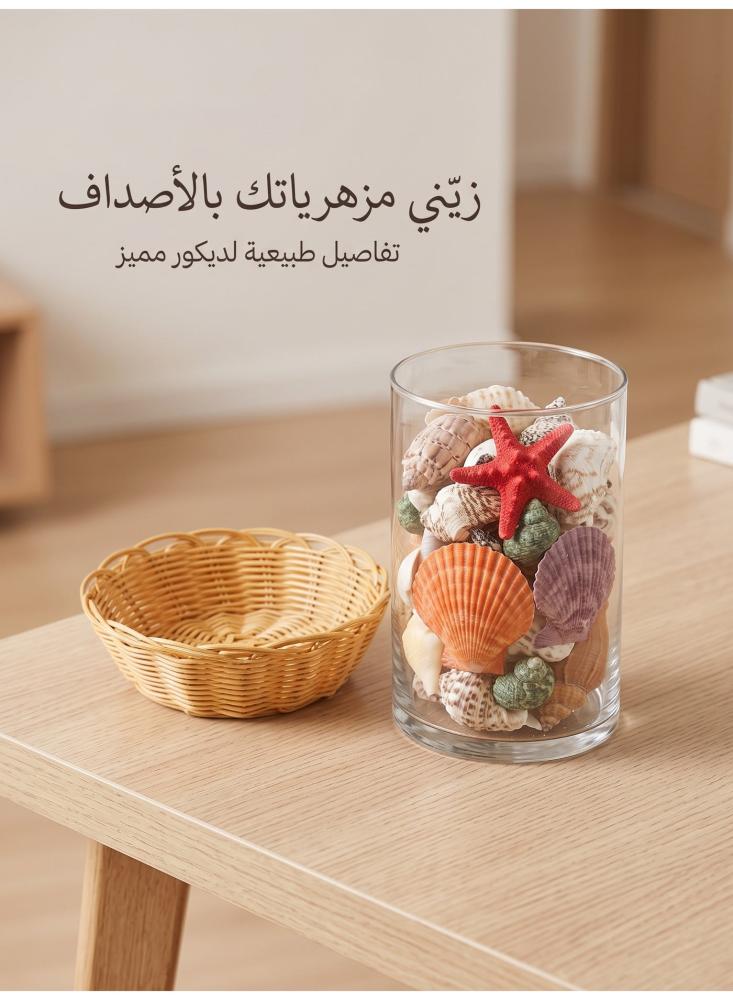 أصداف بحرية طبيعية في سلة مجدولة من أفراس، تشكيلة أصداف ونجمة بحر للديكور، حشوة مزهريات، ديكور بحري وأعمال يدوية