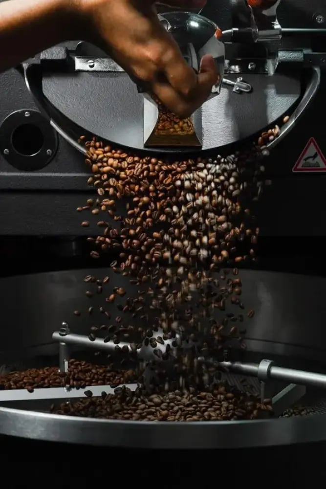 برازيل موجيانا  5kg