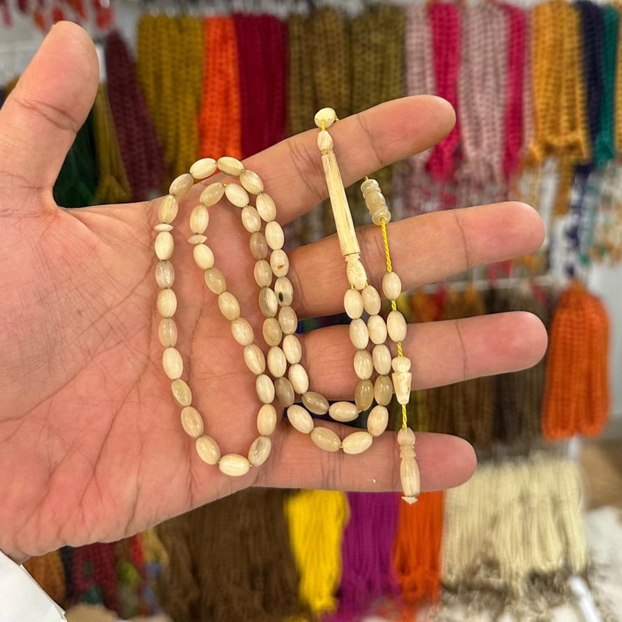 شبحة قرن ضان نواعم