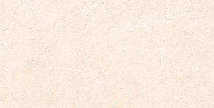 بورسلان هندي | 51.0020