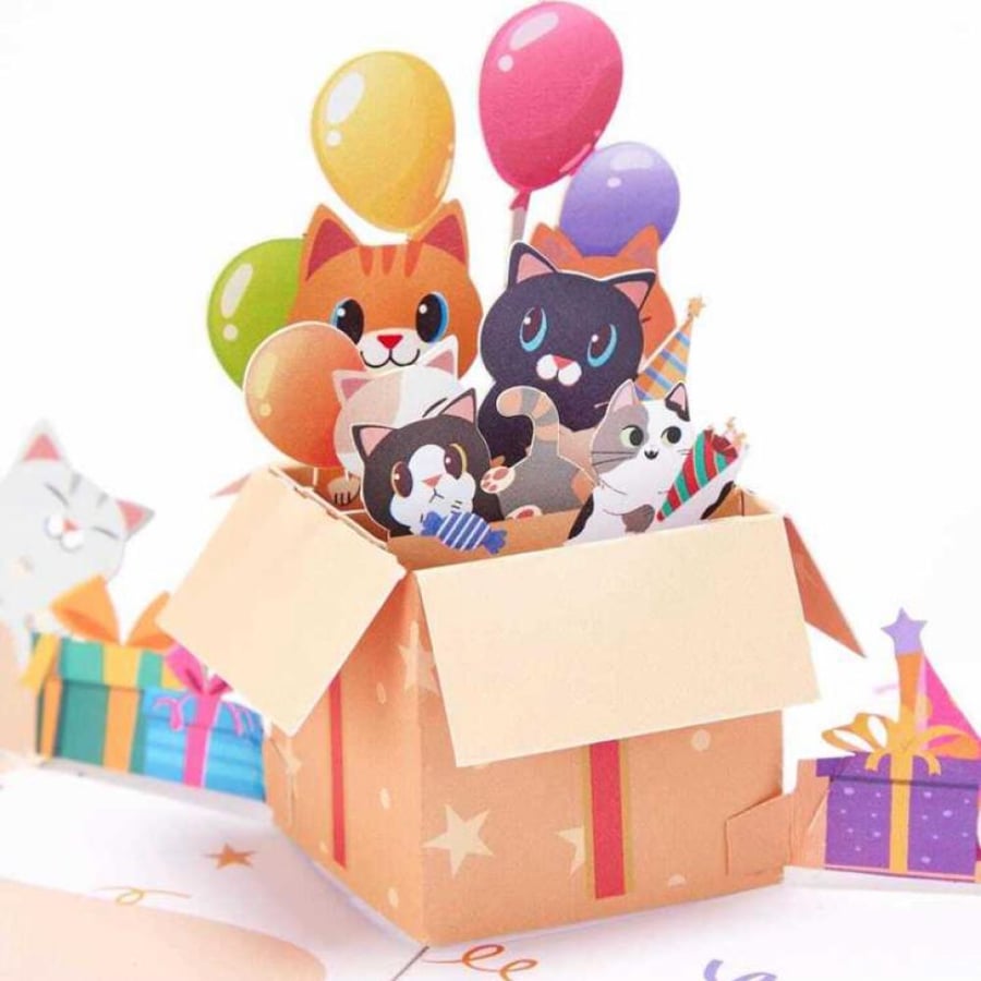 Happy birthday cat card