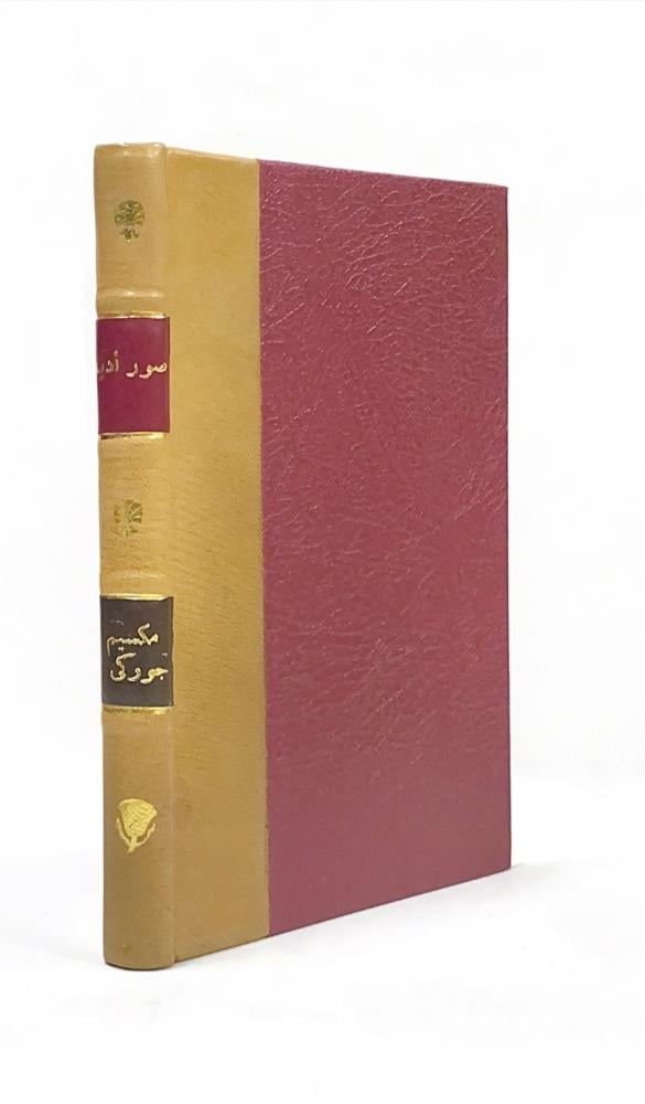 صور أدبية