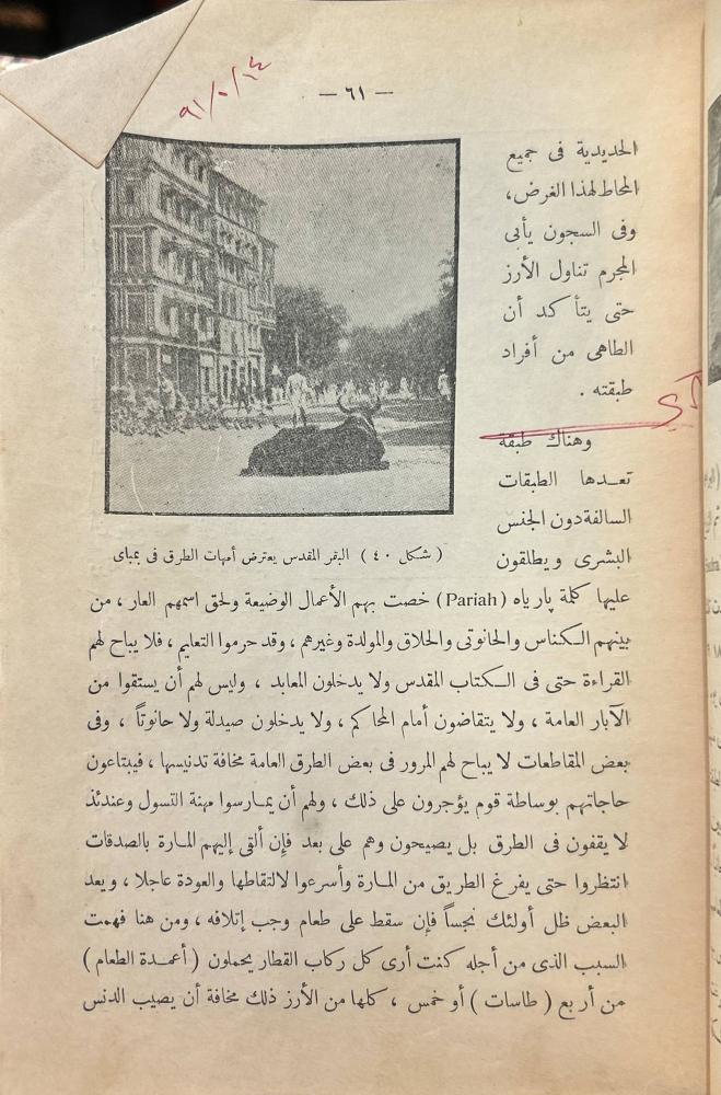 جولة في ربوع أسيا بين مصر واليابان
