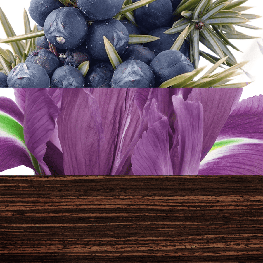 عطر ذا قيم للرجال او دي تواليت - من دافيدوف 100مل