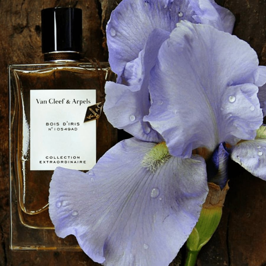 Bois de Iris perfume for women Eau de Parfum - from Van Cleef & Arpels 75ml