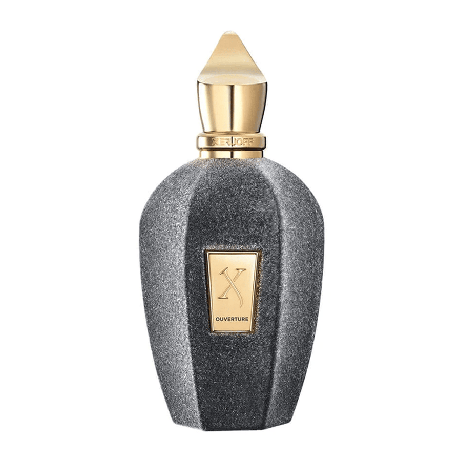 Overtour perfume 100ml Eau de Parfum - from Iksirjov
