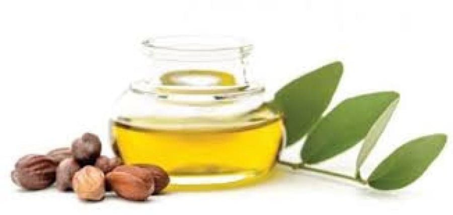 زيت الجوجوبا