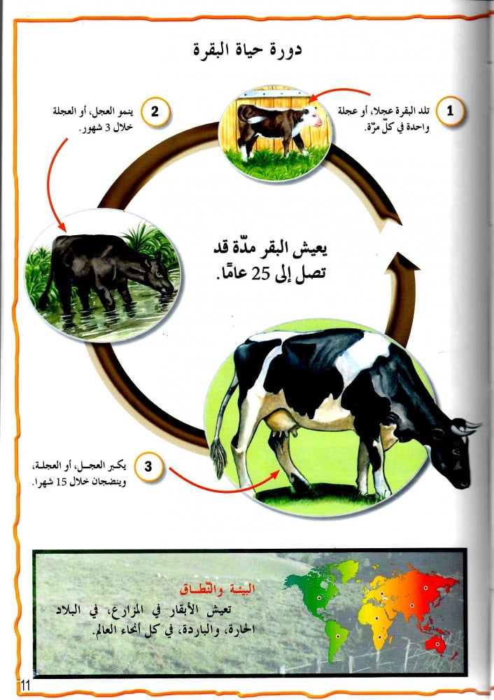 موسوعة الحيوانات - حيوانات المزرعة