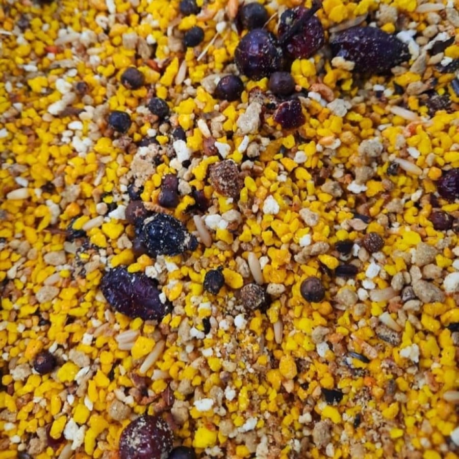 باتية لطيور المتوسطة و لببغاوات