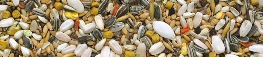 مشكل للدرة و لكنيور