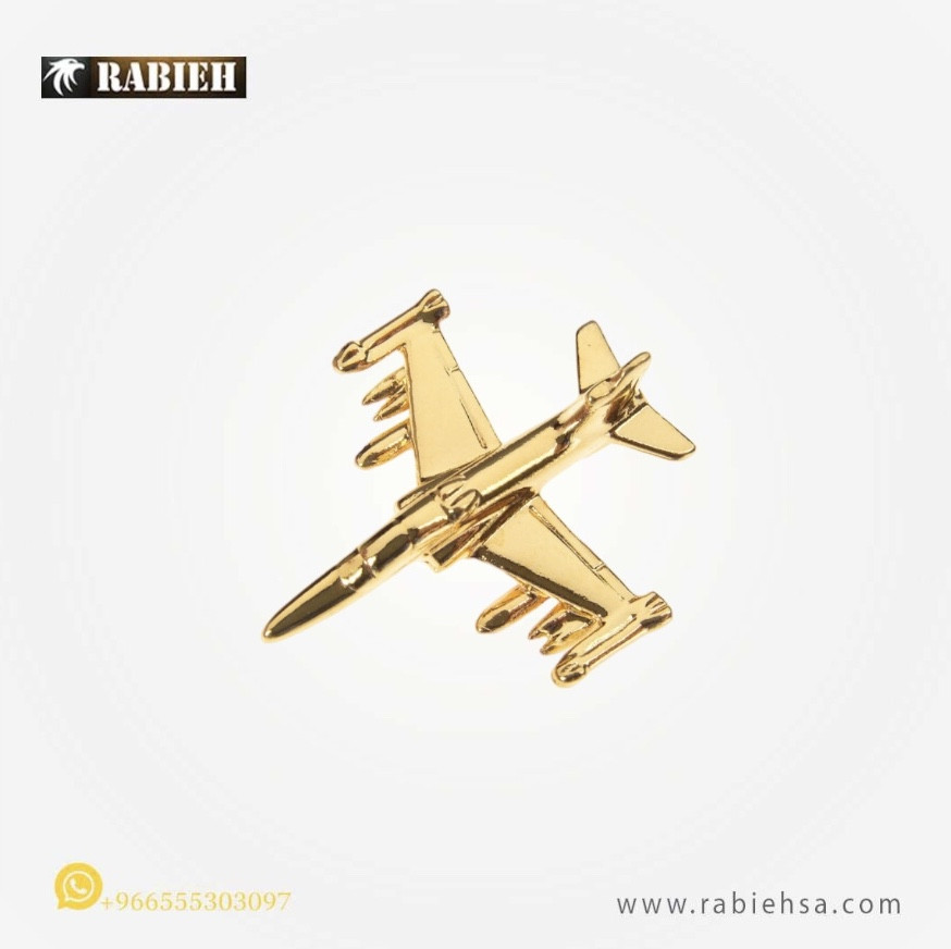 Hawk 100 Pin Badge